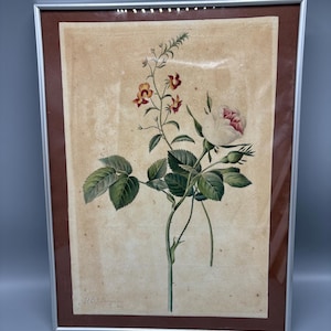 Flower watercolour 19th century