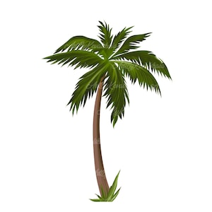 Palm Tree, Palm Tree PNG, Digital Download