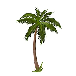 Palm Tree, Palm Tree PNG, Digital Download image 1