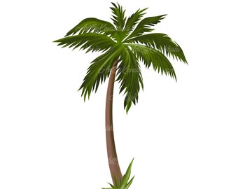 Palm Tree, Palm Tree PNG, Digital Download