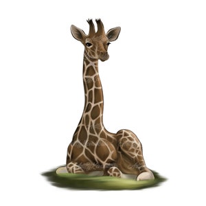 Giraffe PNG, Giraffe Clipart, Digital Download