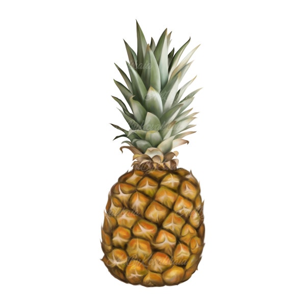 Pineapple Clipart, Pineapple PNG, Digitale Download