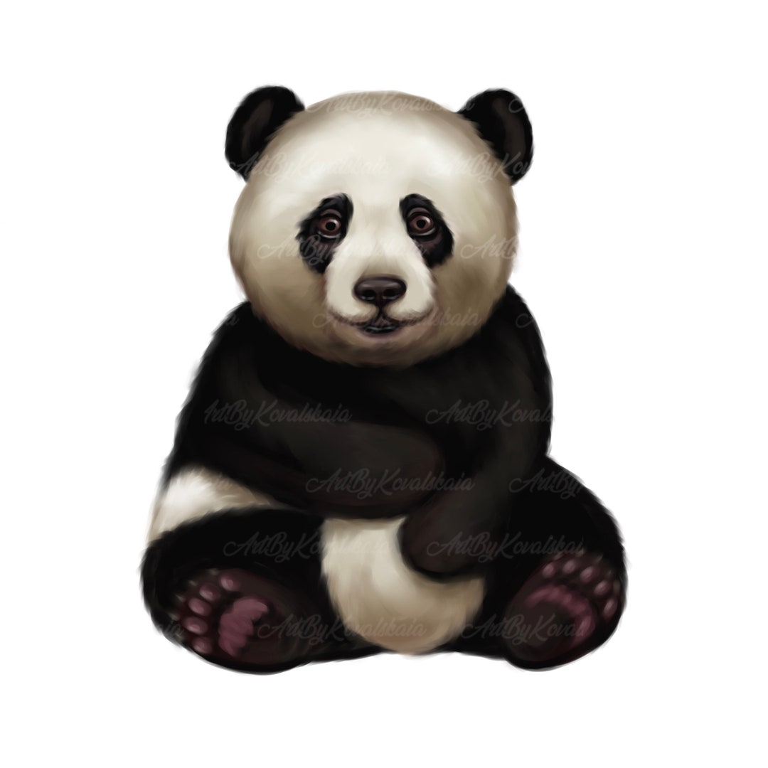 Panda PNG, Panda Clipart, Digital Download - Etsy