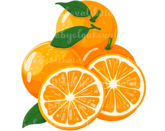Orange PNG, Symbol of Florida, Oranges Clipart, Digital Download