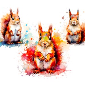 Watercolor Squirrel Clipart PNG, Cute Squirrel, Digital Download