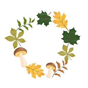 Herbst Clipart PNG, Herbst Rahmen, Thanksgiving, Blätter, Pilz, digitaler Download