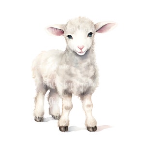 Sheep Clipart, Watercolor Cute Sheep PNG, Digital Download