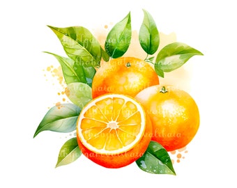 Watercolor Orange Clipart, PNG, Instant Download