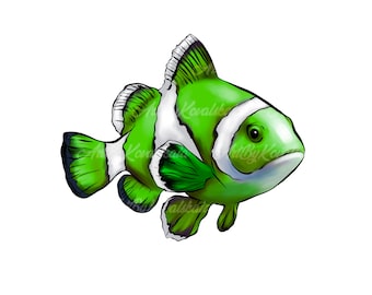 Tropical Fish PNG: Green Clownfish Clip Art (Digital Download)