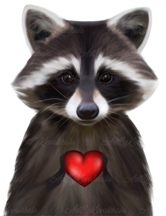 Raccoon Clipart PNG Corazón PNG Mapache PNG Descarga - Etsy España