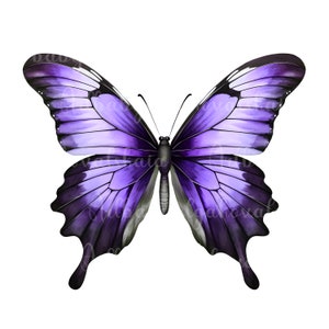 Clipart De Borboleta Aquarela PNG, Download Digital