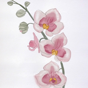 Orchid PNG, Watercolor Orchid, Flower Clipart, Digital Download