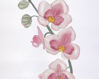 Orkidé PNG, akvarell orkidé, blomma Clipart, digital nedladdning