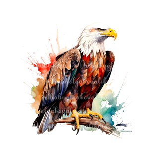 Adler Clip Art, Aquarell Adler PNG, Vogel, digitaler Download