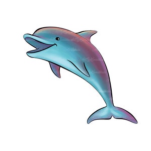 Dolphin PNG, Dolphin Clipart, Ocean Clipart, Digital Download