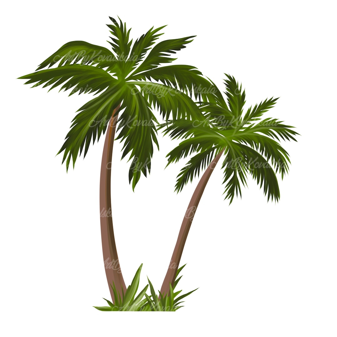 Palm Tree PNG Palm Trees PNG Palm Tree Tropical Tree PNG Digital Download Etsy