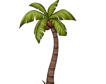 790+ Palm Tree Transparent Background Stock Illustrations, Royalty-Free  Vector Graphics & Clip Art - iStock