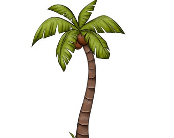 Palm Tree PNG, Palm Tree Clipart, Digital Download, Commercial Use