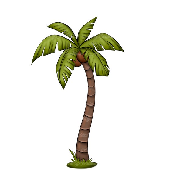 palm trees clipart