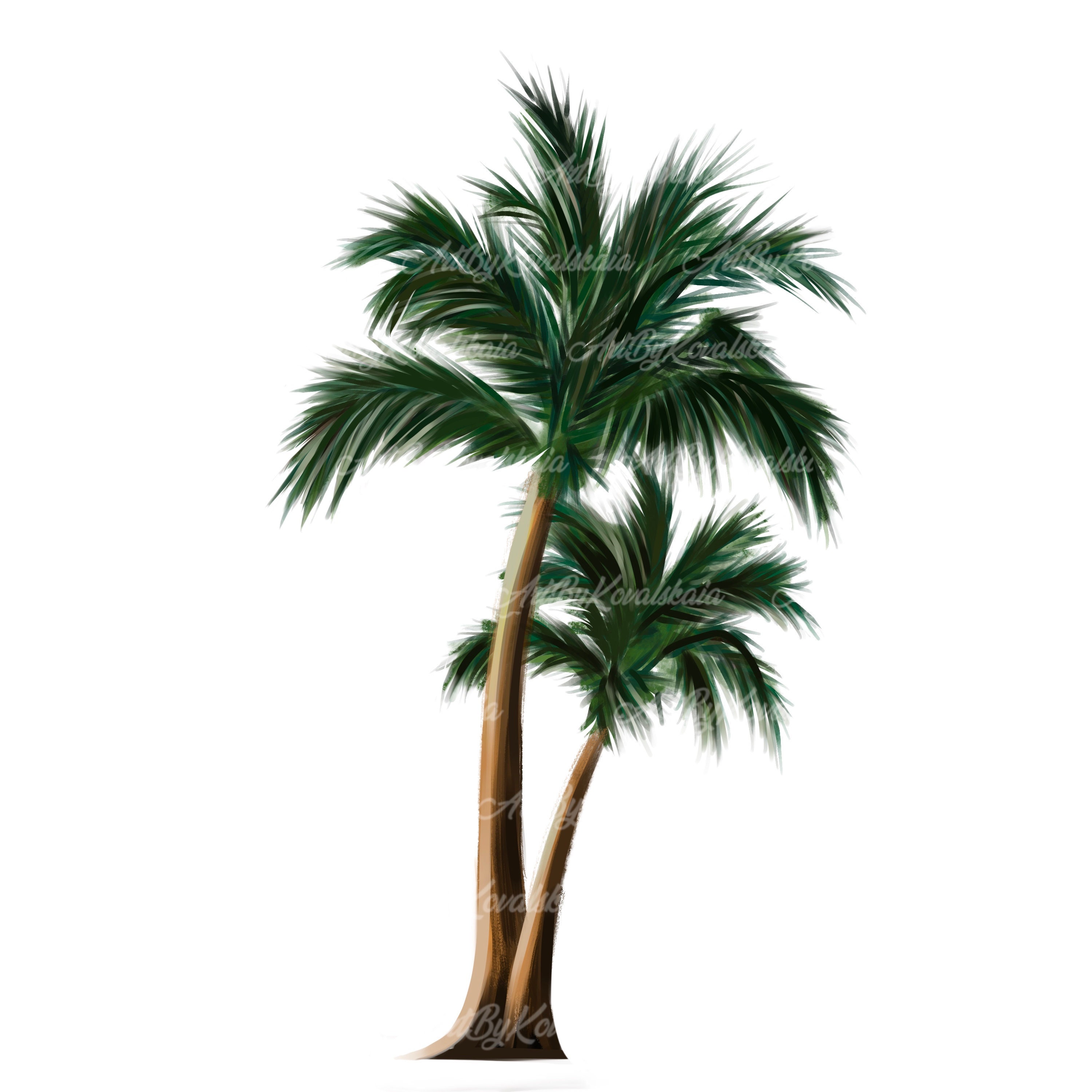 Palm Tree PNG, Palm trees PNG, Palm Tree Clipart, Tropical Tree PNG,  Digital Download, Commercial Use