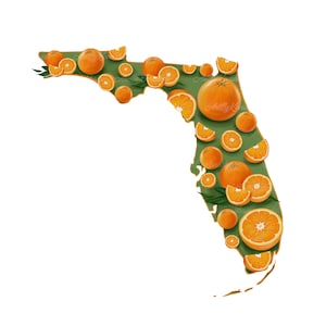 Florida State Map, Florida PNG, Florida Clipart, Digitale Download