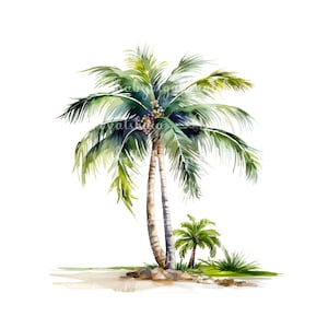 Watercolor Palm Tree PNG Clipart, DIGITAL DOWNLOAD