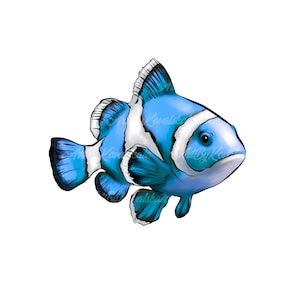 熱帯魚、熱帯魚 PNG、デジタルダウンロード