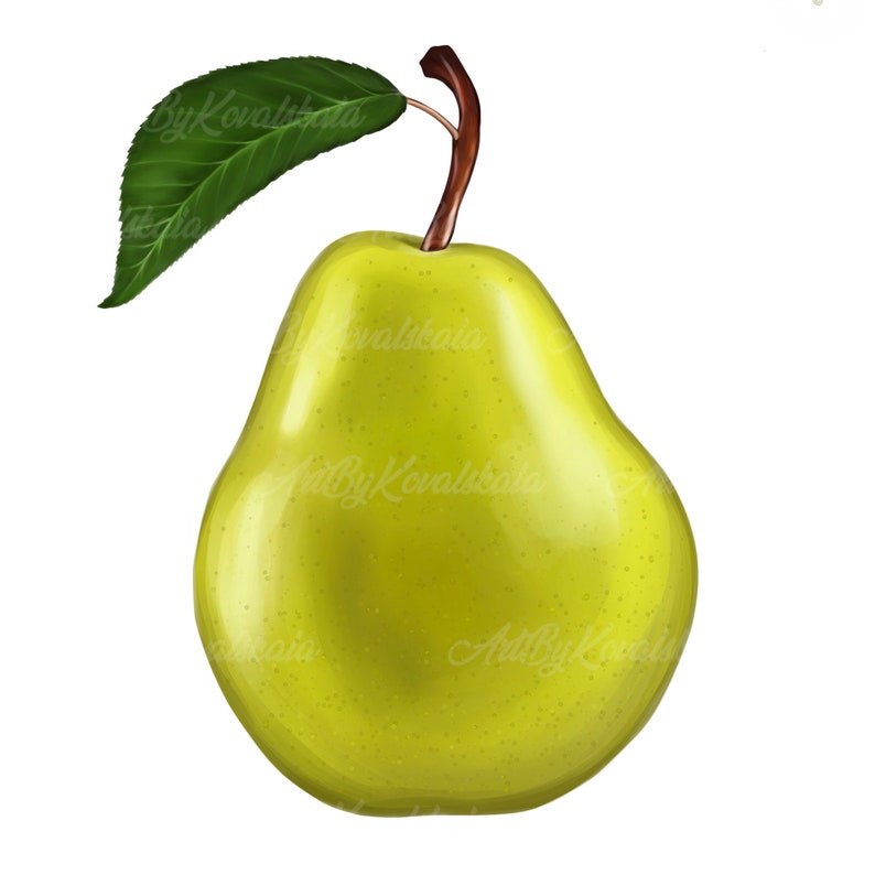 Pear PNG, Fruit, Pear, Digital Download image 1