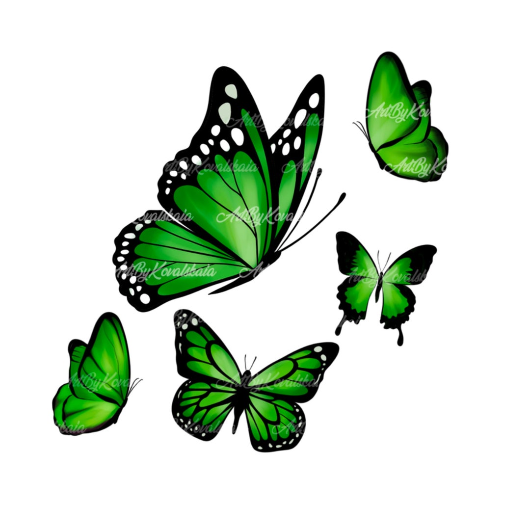 Butterfly PNG, Clipart, Digital Download Etsy