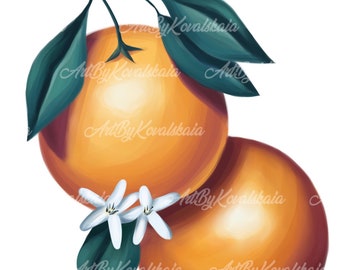 Florida Orange PNG, Fruit Graphic (Digital Download)