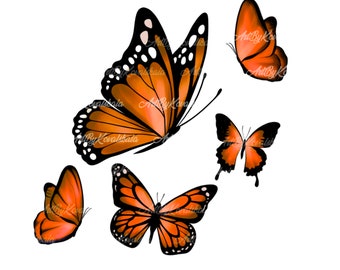 Butterfly PNG, Butterflies Clipart, Digital Download