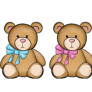 Teddy Bear Clipart, Bear PNG, Baby Shower, Gender Reveal, PNG, Digital Download
