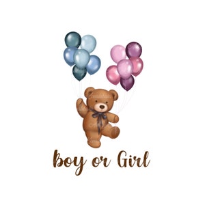 Teddy Bear Clipart, Gender Neutral, Gender Reveal, Teddy Bear with Balloons PNG, Baby Shower, Digital Download