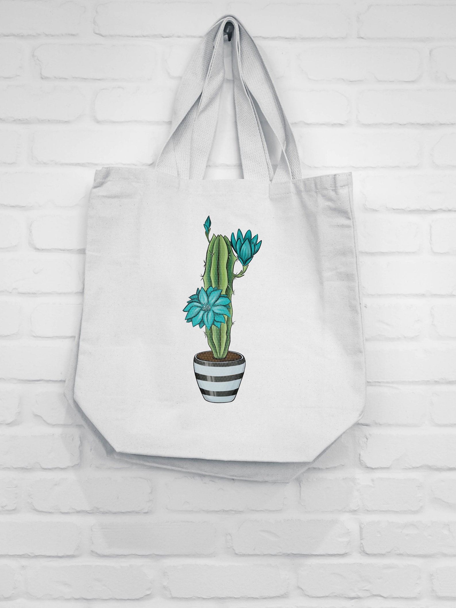 Cactus PNG Cactus Clipart Houseplant PNG Digital Download - Etsy