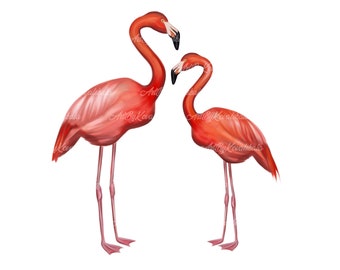 Two Flamingos set PNG, Symbol of Florida, Flamingos Clipart, Flamingos PNG, Digital Download, Commercial Use