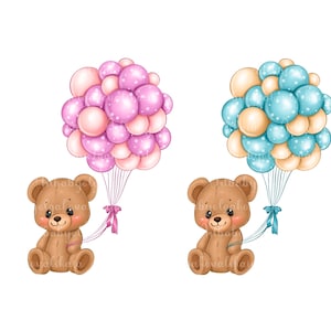Teddy Bear Clipart, Bear PNG, Baby Shower, PNG, Gender Reveal, Digital Download, Commercial Use