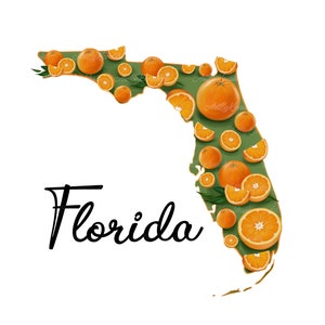 Kaart van de staat Florida, clipart van Florida, png, digitale download