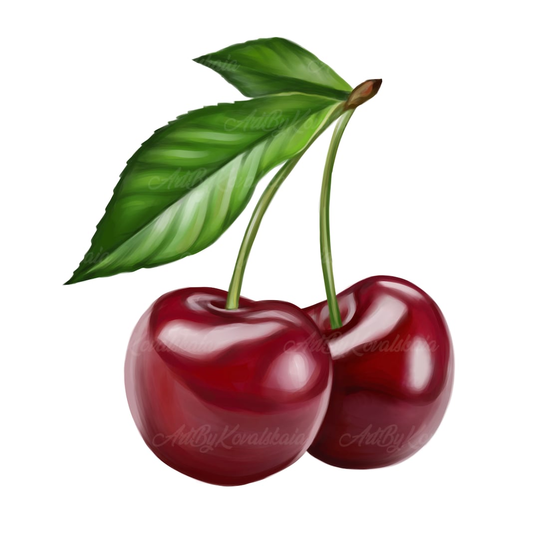 Cherries PNG, Cherries Clip Art, Digital Download 