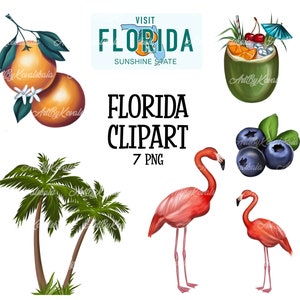 Florida Clipart PNG, Tropical Clipart, PNG, 7 Images, Instant Download, Commercial Use