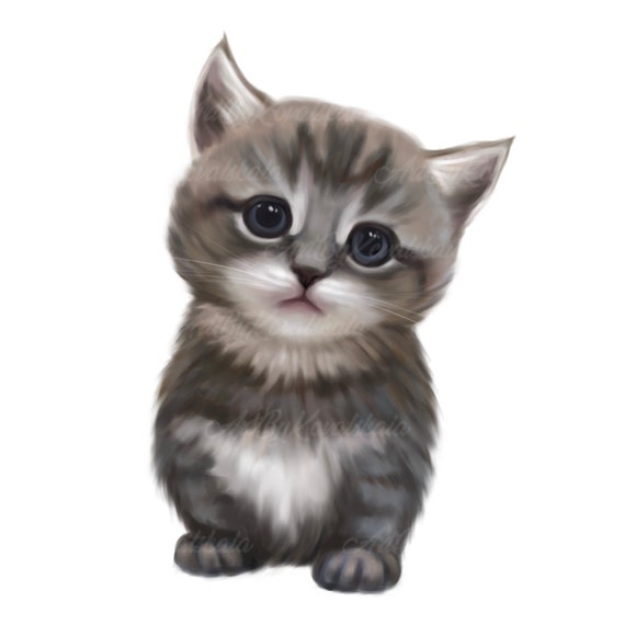 kitten clipart png