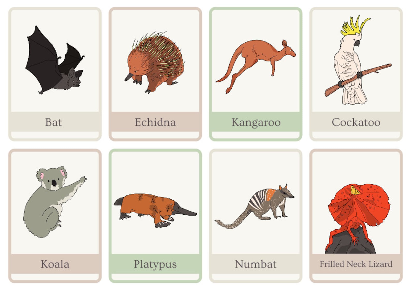 Australian Animal Kids Flash Cards Etsy