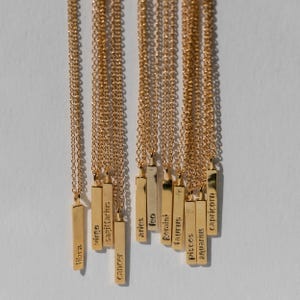 Zodiac Pendant Necklace: 14K Gold Plated or Sterling Silver