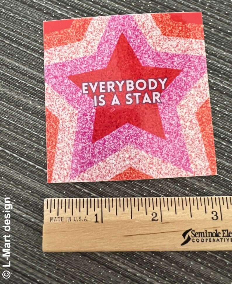 EVERYBODY is A STAR 3