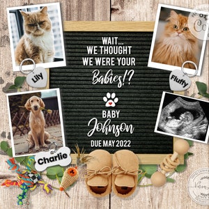 Anúncio de gravidez digital engraçado editável para mídia social, tema de cães e gatos, anúncio de quadro de letras personalizado 0040