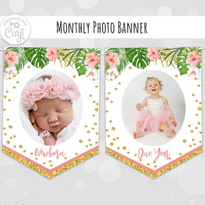 Editable First Birthday Monthly Photo Banner Wild One Safari Tropical Jungle Zoo Animal Party Design Milestone Banner DIY Digital Corjl 0005