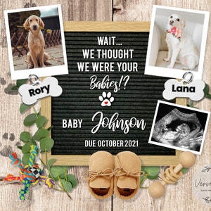 Anuncio de embarazo digital divertido y editable para redes sociales, con temática de 2 perros, anuncio personalizado en tablero de letras 0040