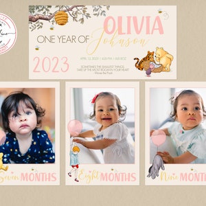 Editable PHOTO Banner for a Girl's First Birthday | 12 Monthly Pictures ...