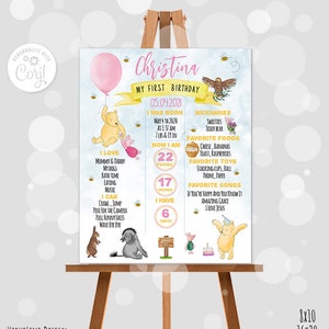 Editable Milestone Board Classic Winnie the Pooh 1st Birthday Girl Party Blue Sky Design Digital Template Corjl 0001P