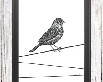bird sketches etsy