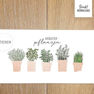 Bon pour plantes aromatiques, herbes de cuisine pour jardin et parterre d'herbes aromatiques pour l'artisanat pour DIN long, fichier à imprimer